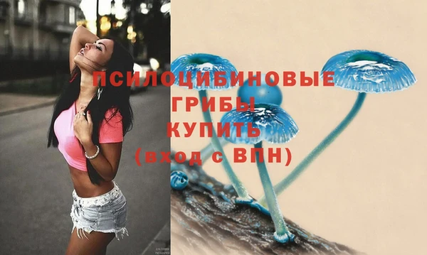 MDMA Белокуриха