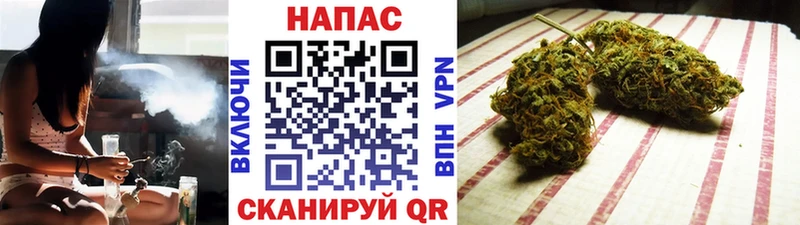 где найти   Новотитаровская  Конопля ГИДРОПОН 
